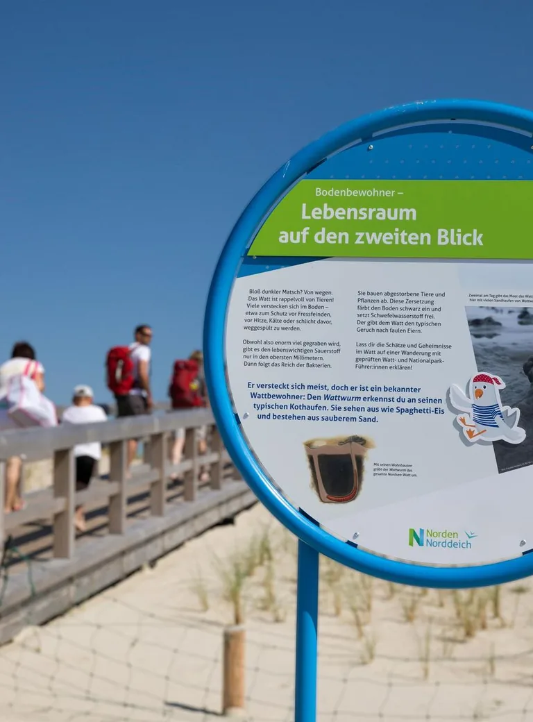 Interaktive Station aus blauem Stahl auf dem Wattenmeer-Erlebnispfad in Norden-Norddeich